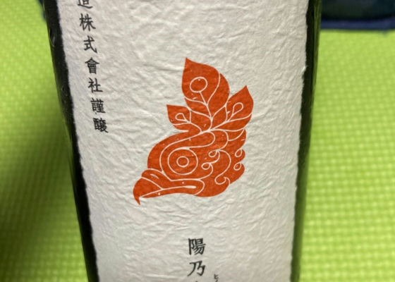 alt 1