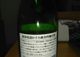 alt 1