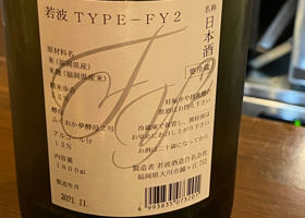 Type-FY2 チェックイン 2