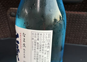 alt 2