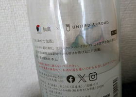 alt 1