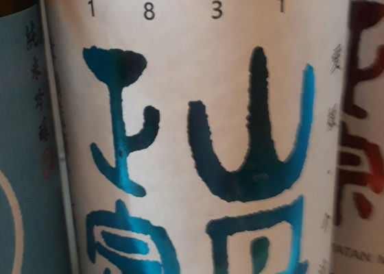 alt 1