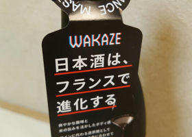 WAKAZE チェックイン 3