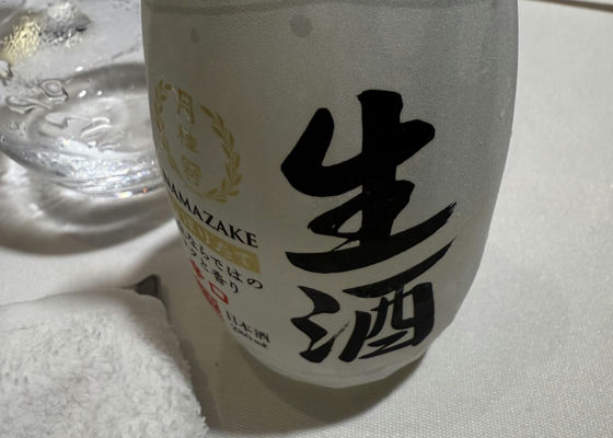 alt 1