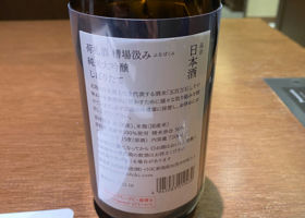 alt 3