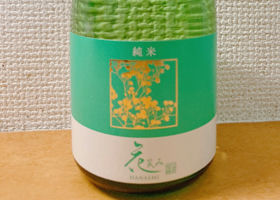 alt 1