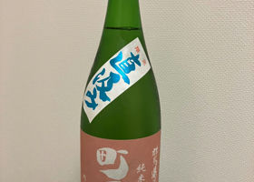alt 1