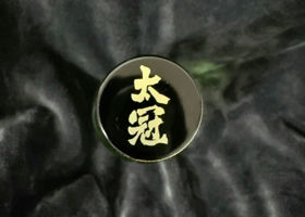 alt 3