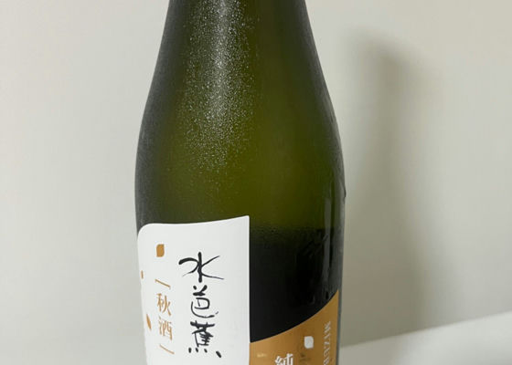 水芭蕉