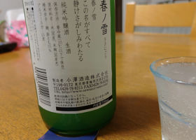 alt 3