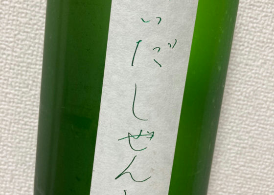 alt 1