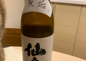 alt 1