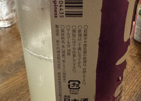 alt 3