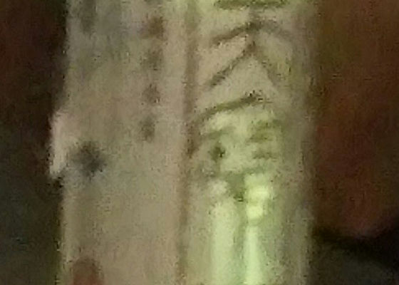 alt 1