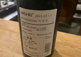 Monsoon チェックイン 2