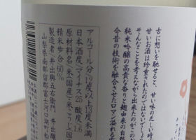 alt 3