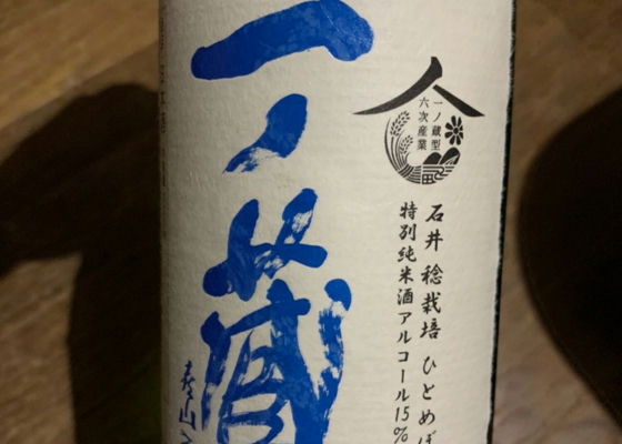 alt 1