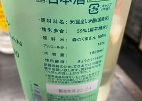 alt 3