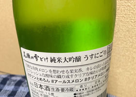 尾瀬の雪どけ チェックイン 2