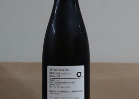 Monsoon チェックイン 2