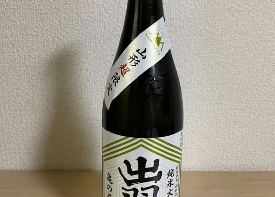 alt 1