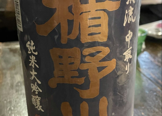 alt 1