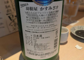 alt 3