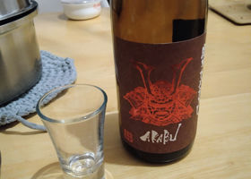 alt 1