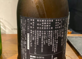 alt 3