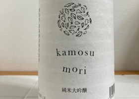 kamosu mori Check-in 1