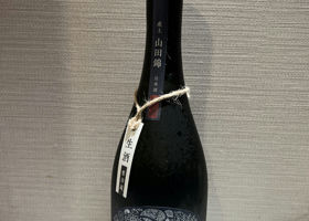 alt 3