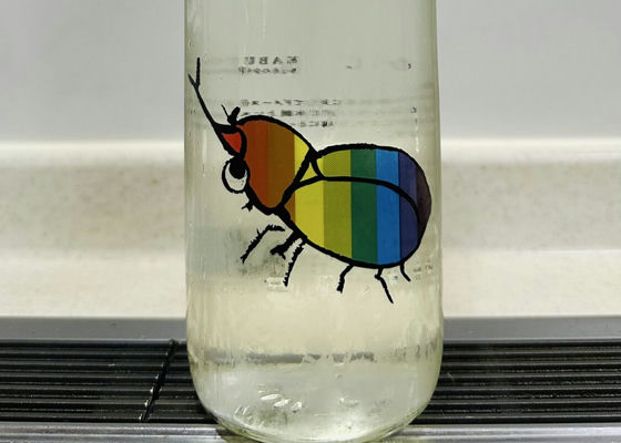 alt 1