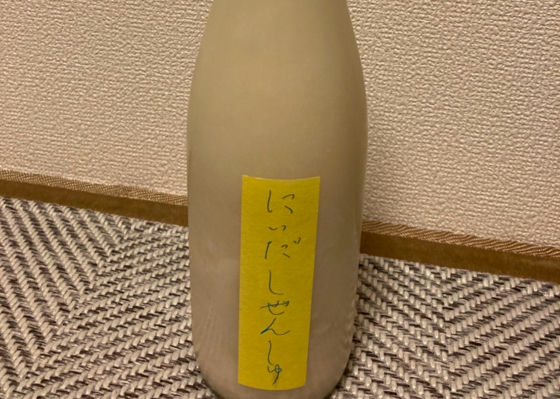alt 1
