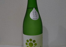alt 1