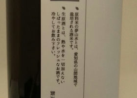 alt 3