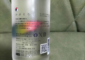 alt 1