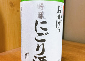 alt 1