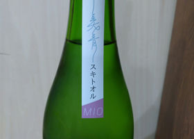 alt 3
