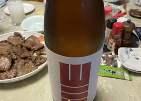 alt 1