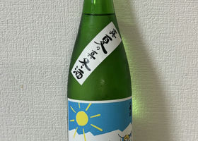 alt 3