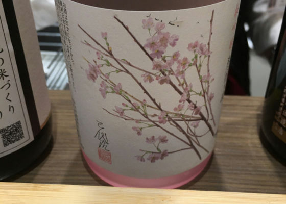 春待ち桜 チェックイン 1