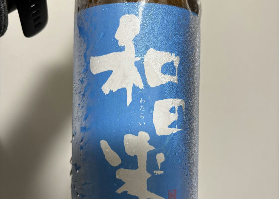 alt 1