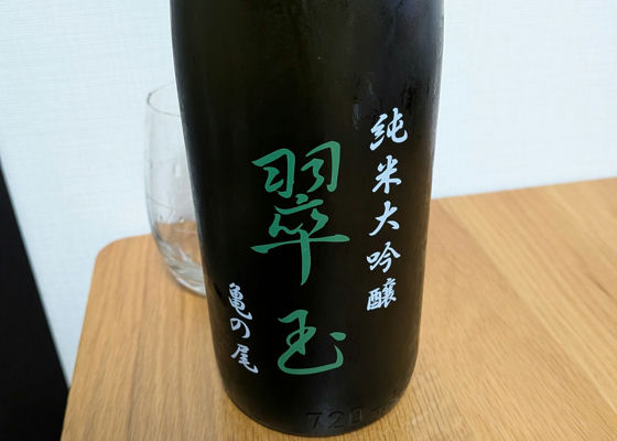 alt 1