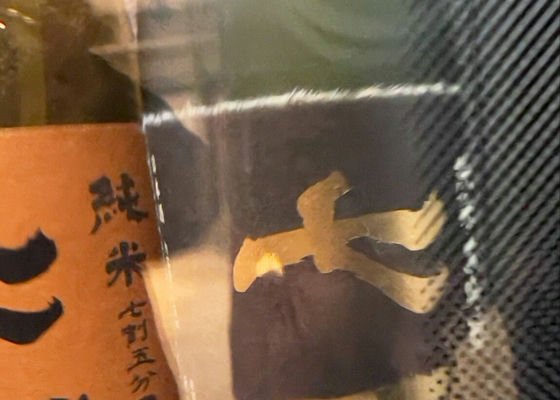 alt 1