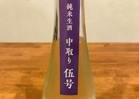 alt 3