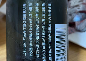 alt 4