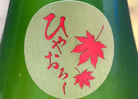 月山 チェックイン 3