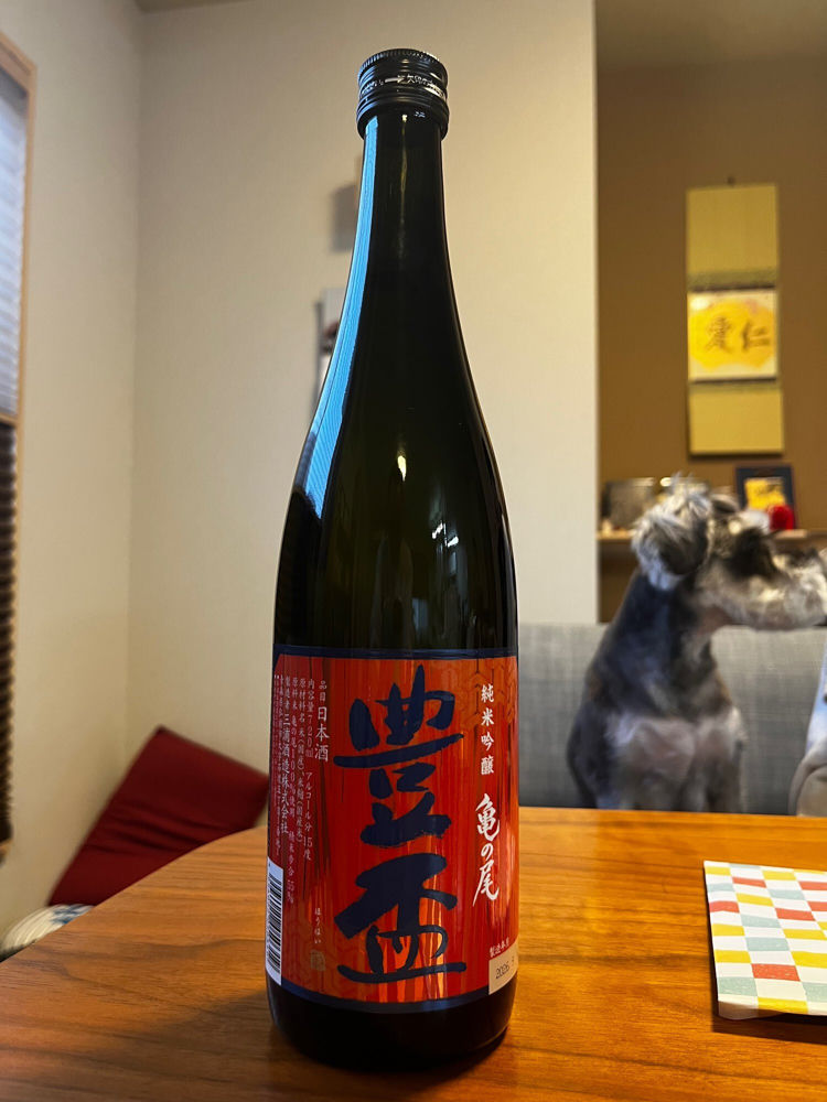 豊盃 チェックイン 1