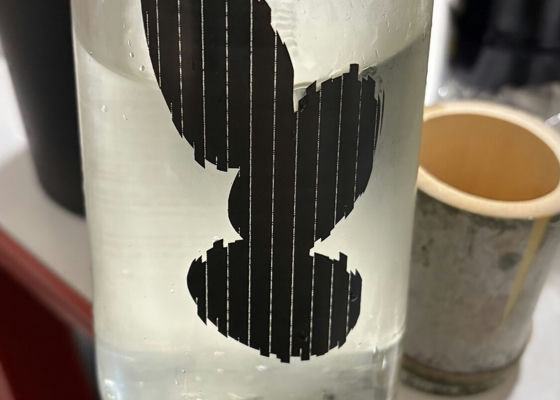 alt 1