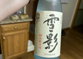 Yukikage Check-in 3